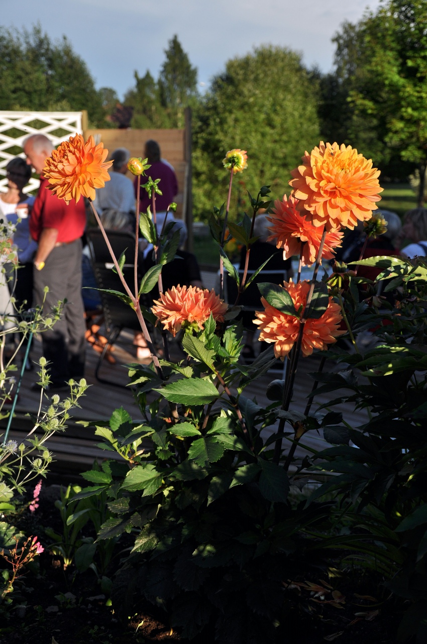 20100803-0099